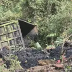 Mundur Lalu Terjun Rem Blong Di Tanjakan, Truk Batu Bara Nyemplung Ke Jurang