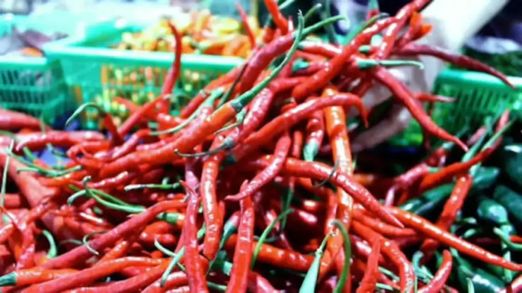 Harga Cabai Rawit Pecah Rekor