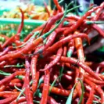 Harga Cabai Rawit Pecah Rekor