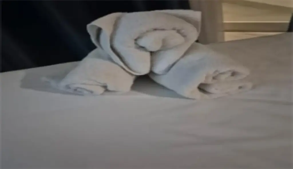 POJOK HALAMAN 1 Trump Trap