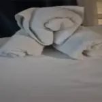 POJOK HALAMAN 1 Trump Trap