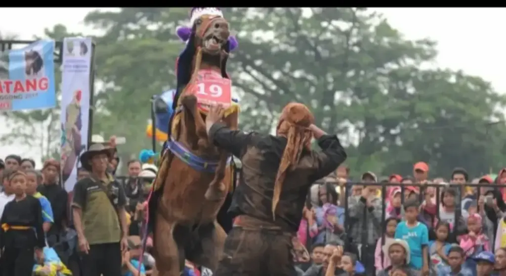 Makna Ritual Kuda Renggong
