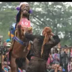 Makna Ritual Kuda Renggong