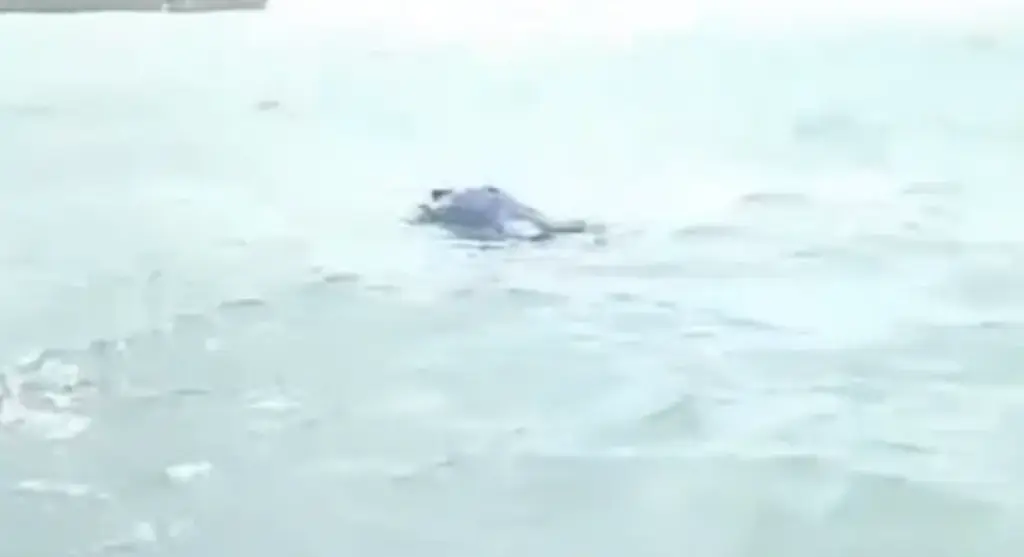 Heboh! Penemuan mayat mengapung di perairan Mentok, Bangka Barat