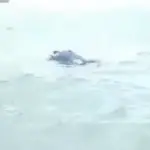 Heboh! Penemuan mayat mengapung di perairan Mentok, Bangka Barat