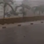 Hujan Deras dan Angin Kencang Terjang Cibinong, Sejumlah Pohon Tumbang dan Atap Rumah Warga Rusak.