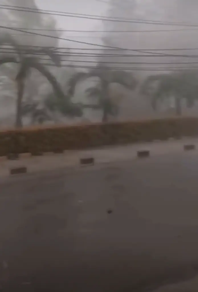 Hujan Deras dan Angin Kencang Terjang Cibinong, Sejumlah Pohon Tumbang dan Atap Rumah Warga Rusak.