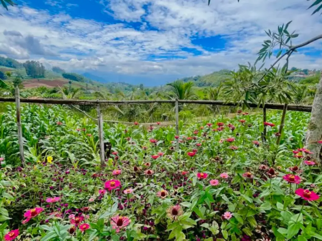 Tanjungsari Menjelang Magrib: Destinasi Ngabuburit yang Wajib Dikunjungi