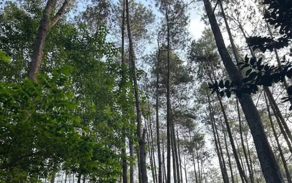 Healing Terjangkau di Batu Kuda: Cuman 30 Menit Dari Jatinangor