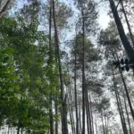 Healing Terjangkau di Batu Kuda: Cuman 30 Menit Dari Jatinangor