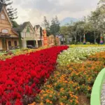 Serasa di Eropa! Menjelajahi Pesona Kastel Megah di Jatinangor National Flower Park