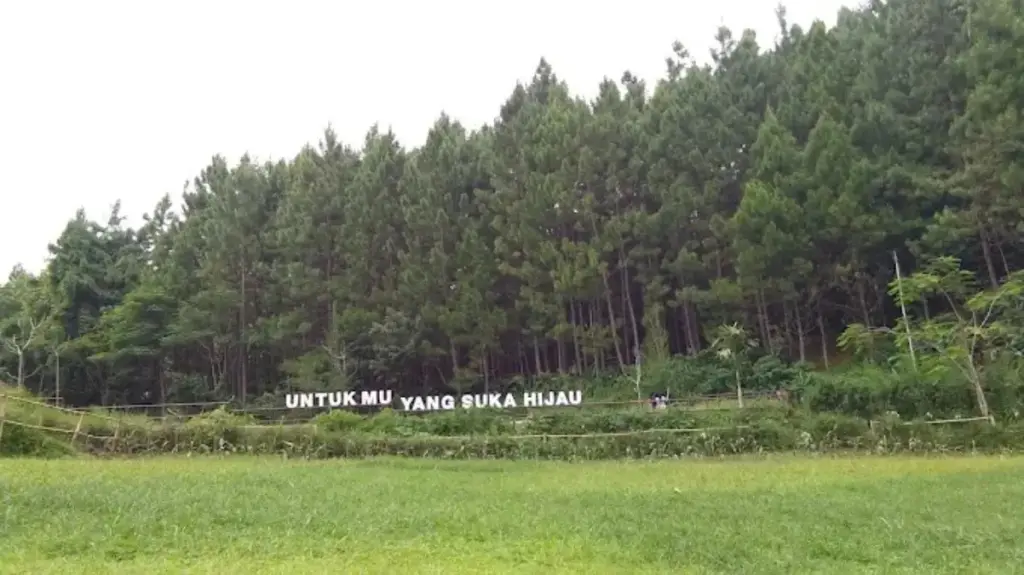 Pangjugjugan Tourist Village: Destinasi Wisata Alam yang Menghadirkan Keindahan Pedesaan dan Rekreasi Keluarga