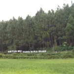 Pangjugjugan Tourist Village: Destinasi Wisata Alam yang Menghadirkan Keindahan Pedesaan dan Rekreasi Keluarga