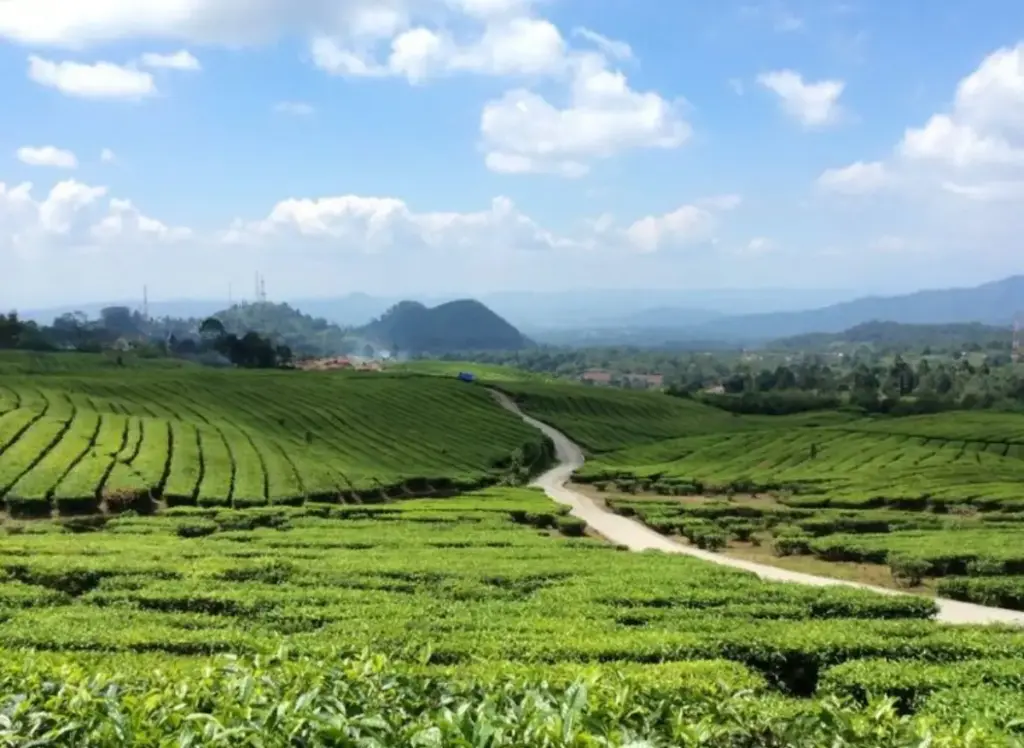 Daftar Lokasi Favorit Warga Subang untuk Menunggu Waktu Berbuka Puasa