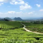 Daftar Lokasi Favorit Warga Subang untuk Menunggu Waktu Berbuka Puasa