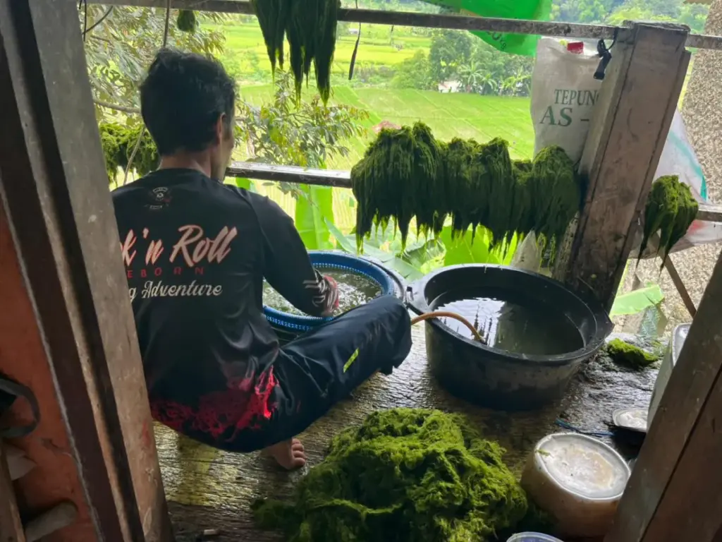 Pedagang Umpan Ikan Kebanjiran Pembeli, Omzet Naik di Awal Ramadan 2026