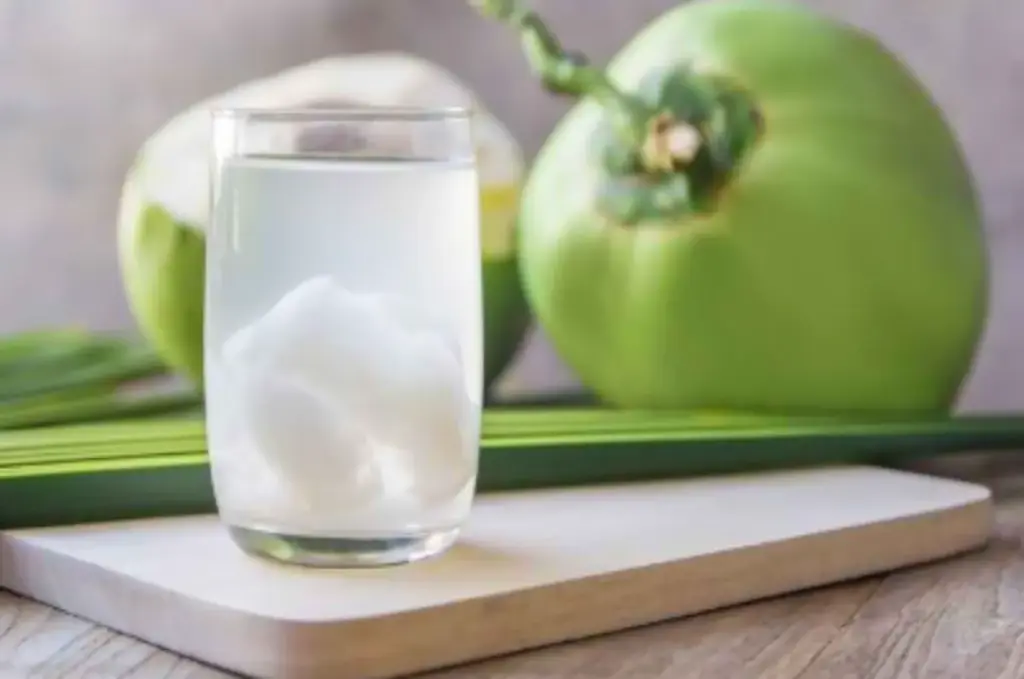 Pilihan minuman sehat seperti air kelapa, teh herbal, dan air jahe yang aman dikonsumsi penderita maag saat sa