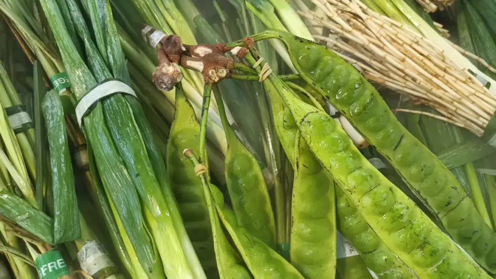 Unik dan Kontroversial: Makanan Indonesia yang Enak Di Mulut Sebagian Orang