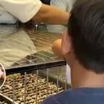 Batu Putih Disangka Giok, Keluguan Dua Bocah Bojonegoro Curi Perhatian Netizen