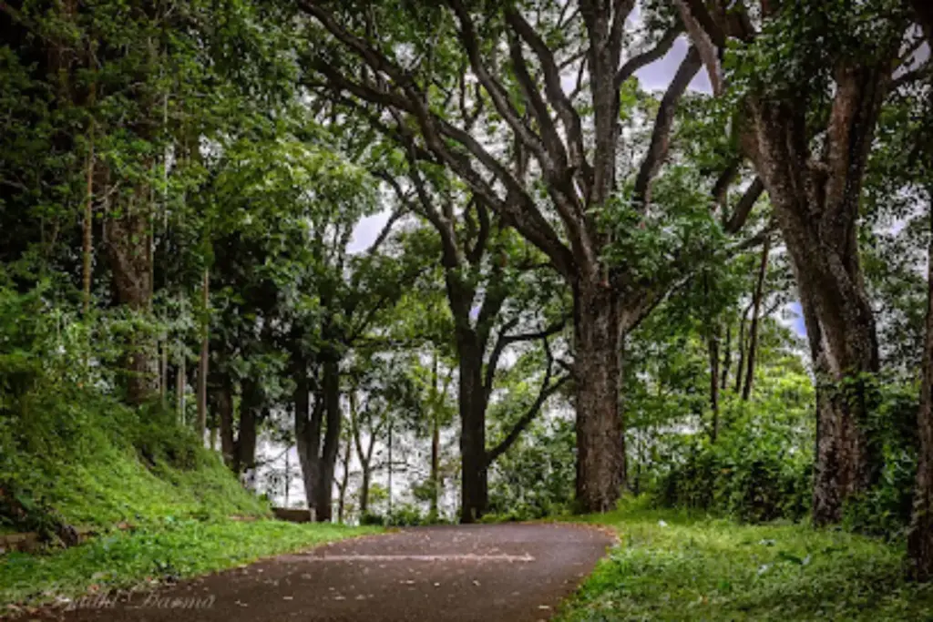 Kiarapayung Green Park: Playground Alam, Camping, dan Aktivitas Outdoor Seru