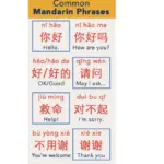 3 Tips belajar Pemula Bahasa Mandarin Yang Simpel dan Seru!