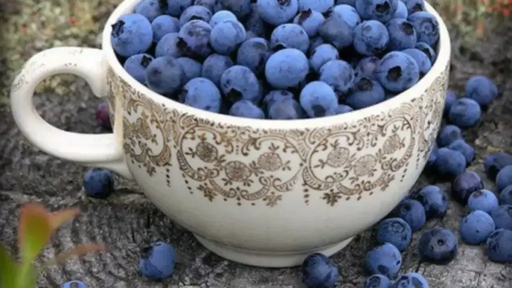 Manfaat Buah Blueberry Si Kecil Biru dengan Segudang Khasiat