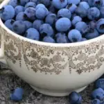 Manfaat Buah Blueberry Si Kecil Biru dengan Segudang Khasiat