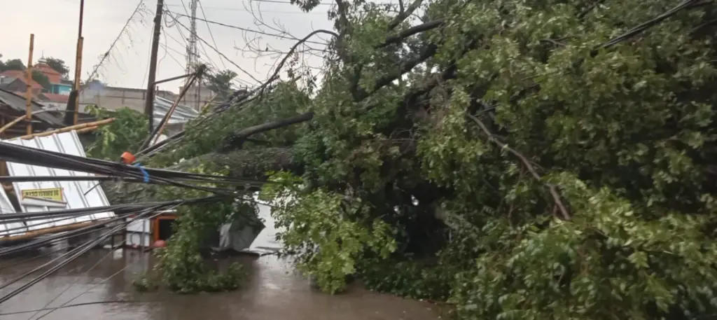 Pohon dan Tiang Listrik Tumbang di Cicalengka, Gerobak Pedagang Tertimpa