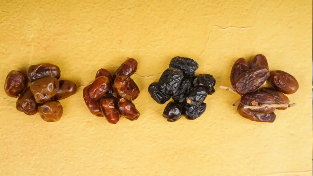 Jenis dan Manfaat Buah Kurma