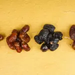 Jenis dan Manfaat Buah Kurma