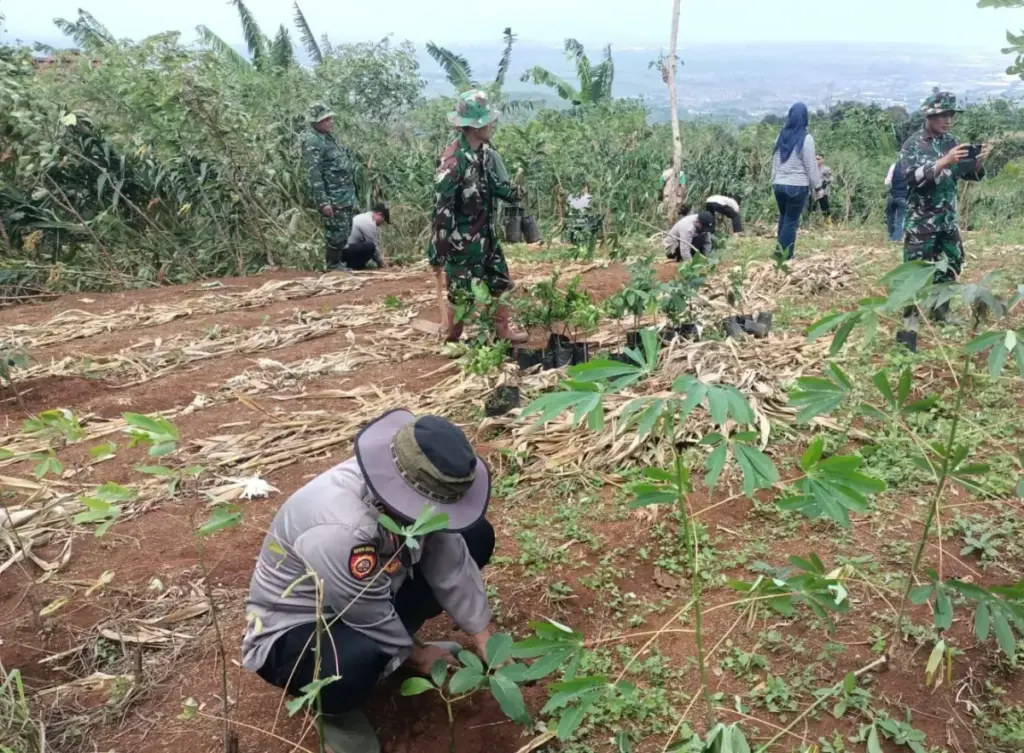 Forkopimcam Cimanggung Tanam Pohon di Tegalmanggung, Upaya Tekan Risiko Banjir dan Longsor