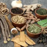 9 Herbal Alami untuk Menjaga Daya Tahan Tubuh Agar Tetap Sehat dan Bugar