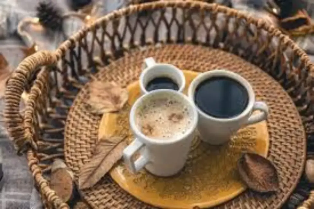 Perbedaan biji kopi Arabika dan Robusta, serta berbagai metode penyeduhan seperti Pour-over dan French Press.