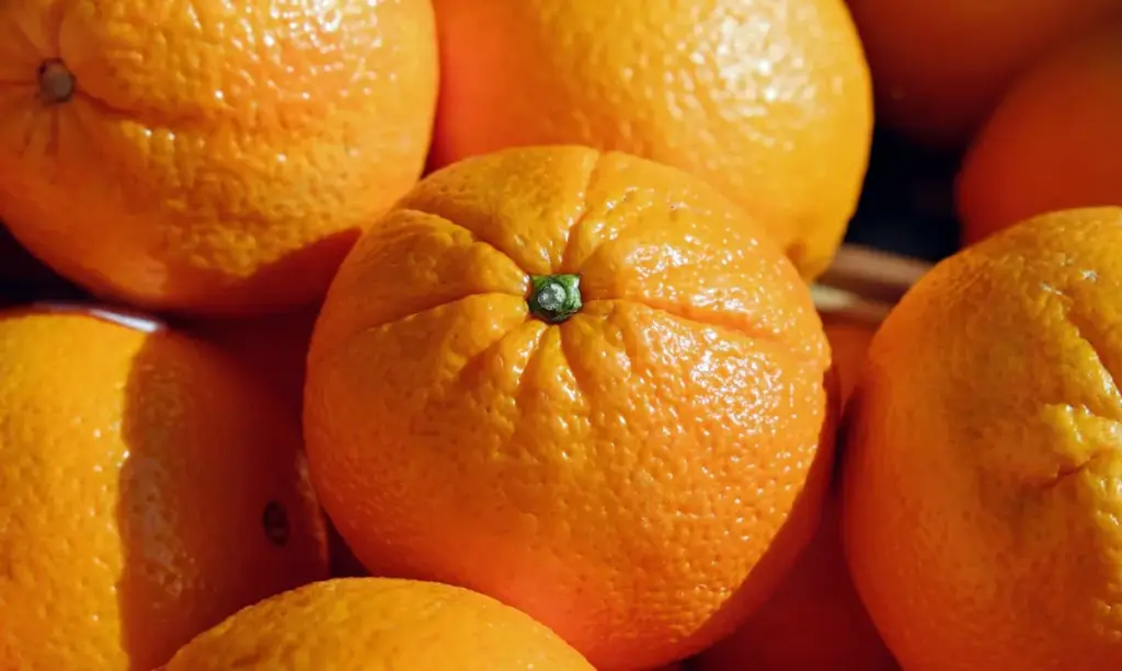 Tips memilih jeruk yang manis dan berkualitas berdasarkan tekstur kulit, warna, dan tingkat kematangan.