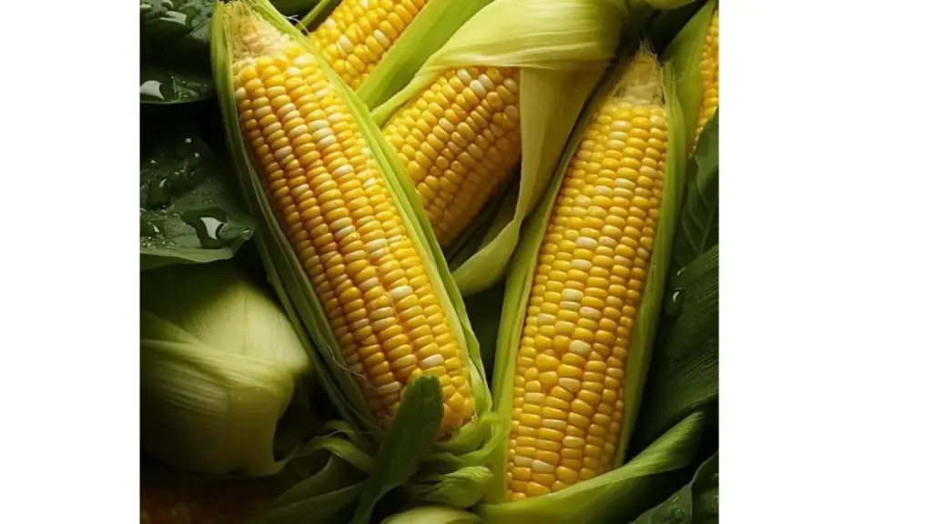 5 Manfaat Jagung yang Jarang Disadari, Sangat Bagus untuk Kesehatan!