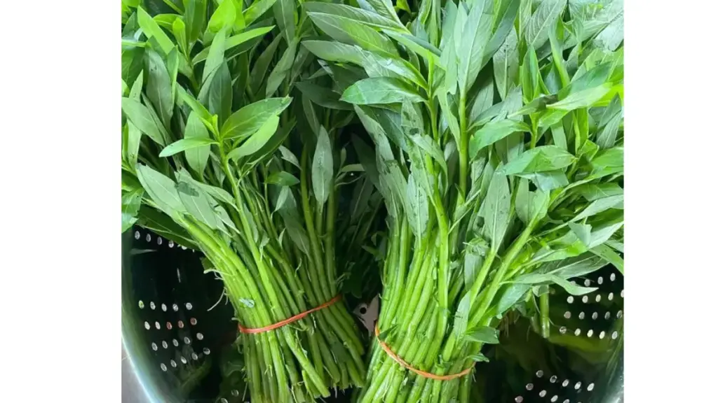 4 Manfaat Kangkung untuk Kesehatan yang Jarang Disadari