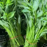 4 Manfaat Kangkung untuk Kesehatan yang Jarang Disadari