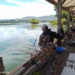 CISITU - Aktivitas di kawasan Waduk Jatigede kembali menggeliat pasca momen Lebaran.