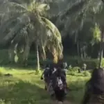 Gempa Kuat Lebih dari 1 Menit Guncang Maluku Utara–Manado, 1 Orang Dilaporkan Tewas