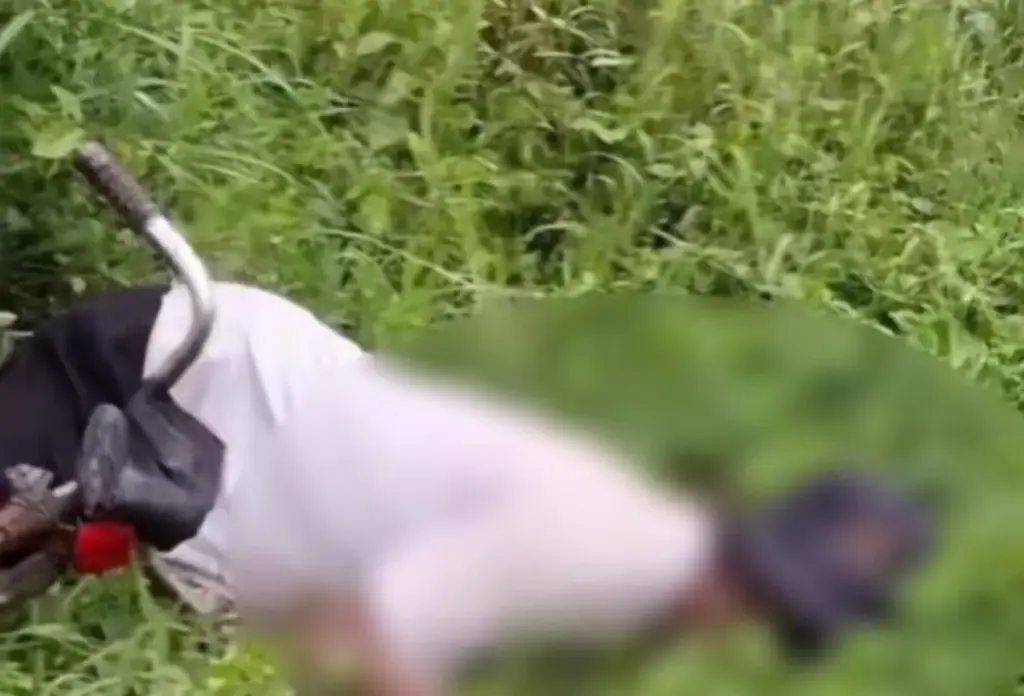 Seorang Petani Tewas Tersambar Petir Kondisinya Memprihatinkan