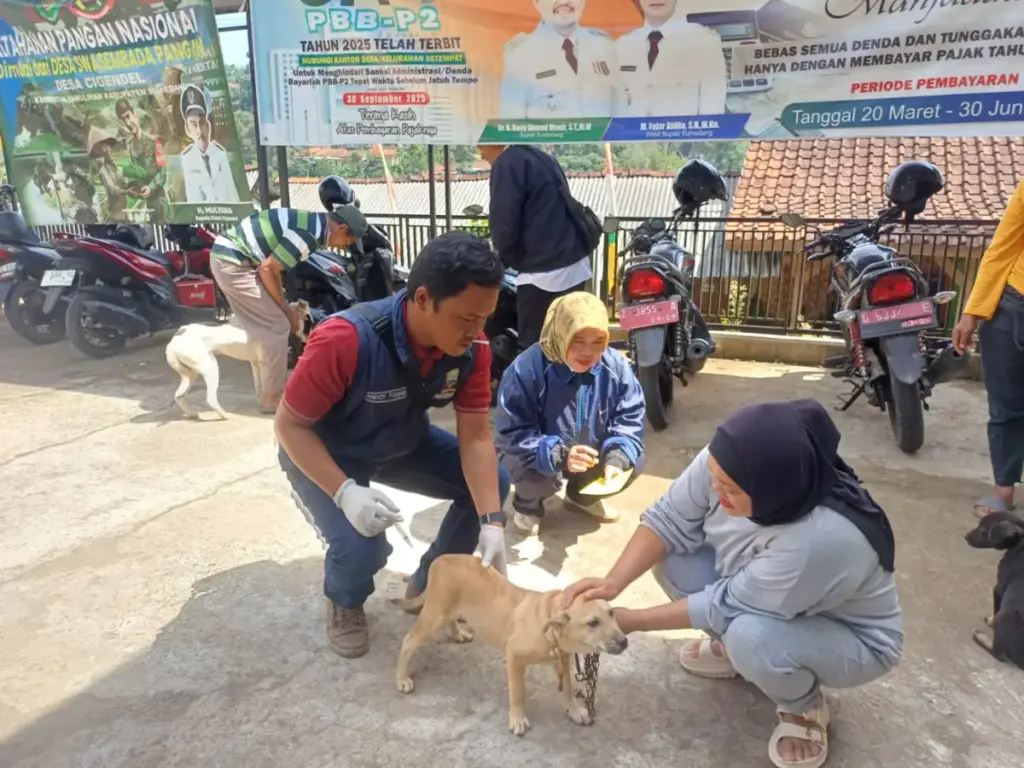 Sambut HUT ke-448 Sumedang, Vaksinasi Rabies Gratis Digelar di 9 Kecamatan