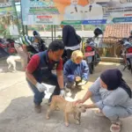 Sambut HUT ke-448 Sumedang, Vaksinasi Rabies Gratis Digelar di 9 Kecamatan