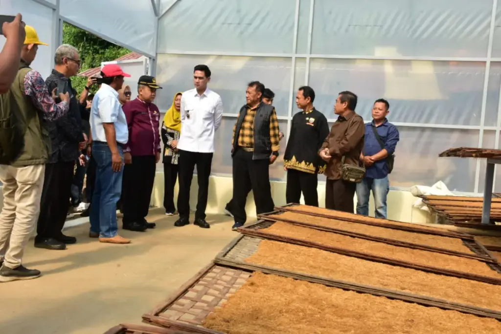 Tembakau Sumedang Kian Digenjot, Wabup Fajar Salurkan Bantuan untuk Petani Sukasari–Tanjungsari