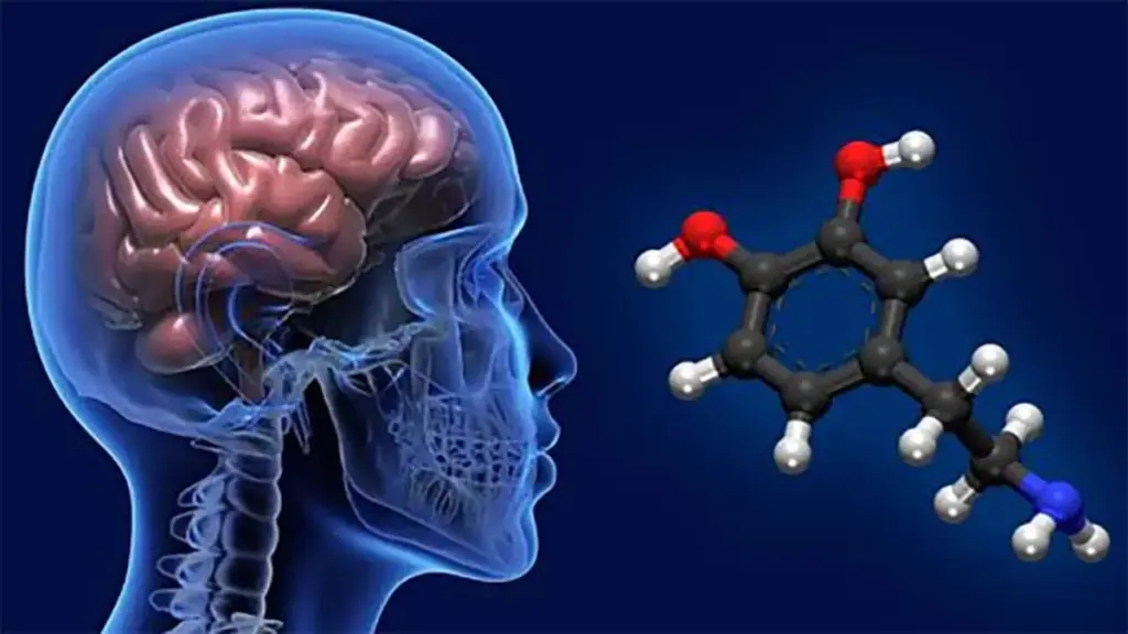 Cinta Itu Candu! Mengapa Jatuh Cinta Bisa Membuat Seseorang Jadi \"Bodo\" secara Logika?