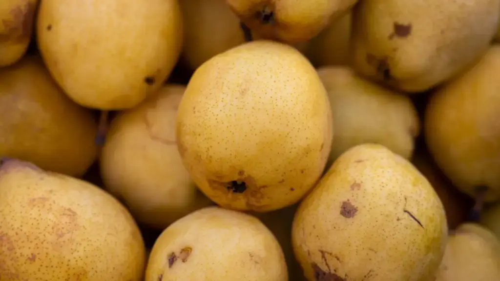 Potret sejumlah buah pir saling bertindihan secara acak