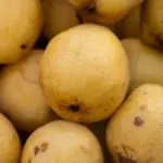 Potret sejumlah buah pir saling bertindihan secara acak