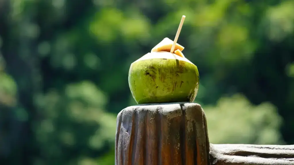 Potret sebuah kelapa muda dihidangkan lengkap dengan sedotan di atasnya.