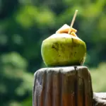 Potret sebuah kelapa muda dihidangkan lengkap dengan sedotan di atasnya.