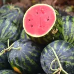 Potongan setengah semangka di atas tumpukan semangka utuh