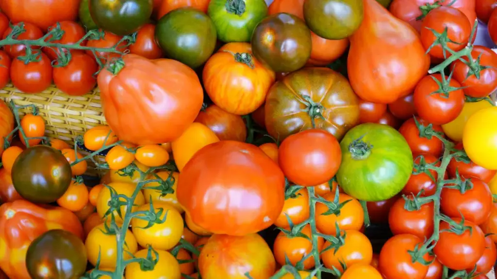 Potret berbagai macam tomat ditata di atas meja